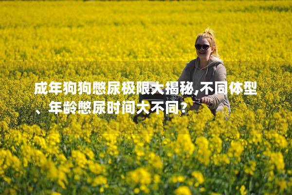 成年狗狗憋尿極限大揭秘,不同體型、年齡憋尿時間大不同？