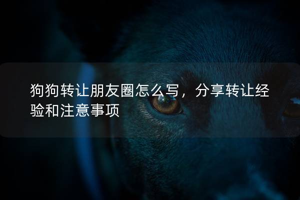 狗狗轉(zhuǎn)讓朋友圈怎么寫，分享轉(zhuǎn)讓經(jīng)驗(yàn)和注意事項(xiàng)