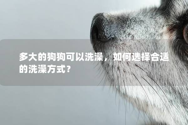 多大的狗狗可以洗澡，如何選擇合適的洗澡方式？