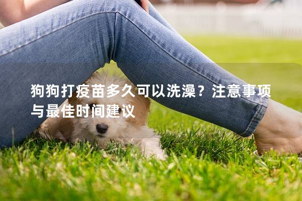 狗狗打疫苗多久可以洗澡？注意事項與最佳時間建議