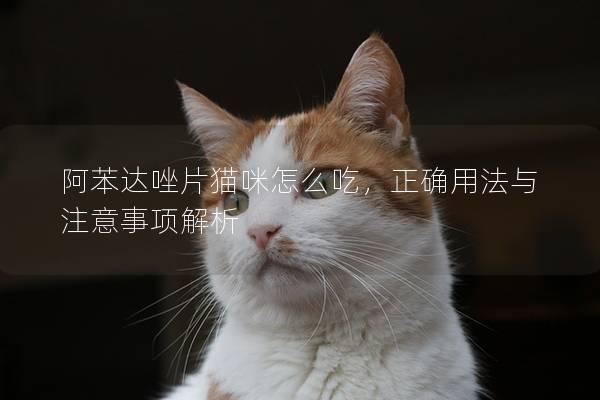 阿苯達唑片貓咪怎么吃，正確用法與注意事項解析