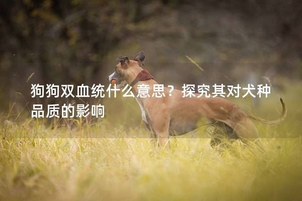 狗狗雙血統什么意思？探究其對犬種品質的影響