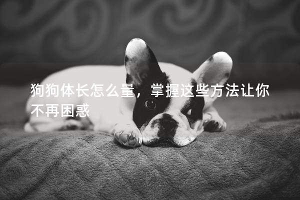 狗狗體長(zhǎng)怎么量，掌握這些方法讓你不再困惑