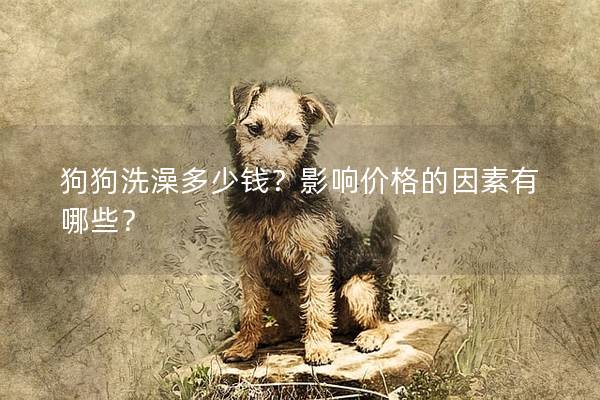 狗狗洗澡多少錢？影響價格的因素有哪些？
