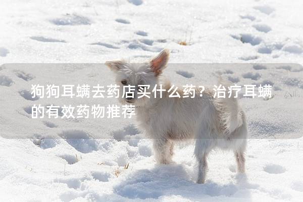 狗狗耳螨去藥店買什么藥？治療耳螨的有效藥物推薦