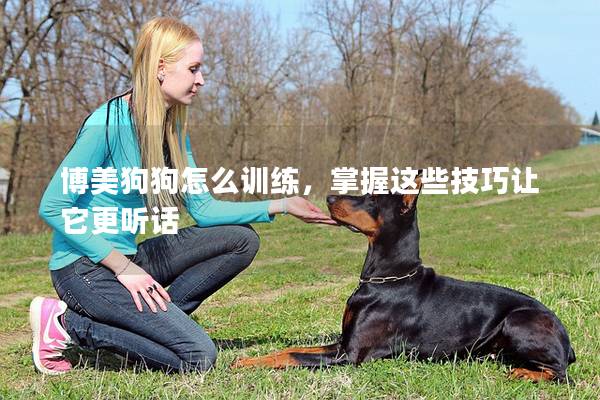 博美狗狗怎么訓(xùn)練，掌握這些技巧讓它更聽話