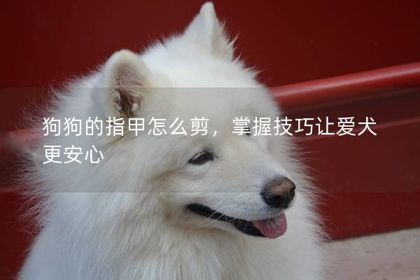 狗狗的指甲怎么剪，掌握技巧讓愛犬更安心
