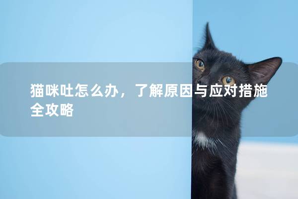 貓咪吐怎么辦，了解原因與應對措施全攻略