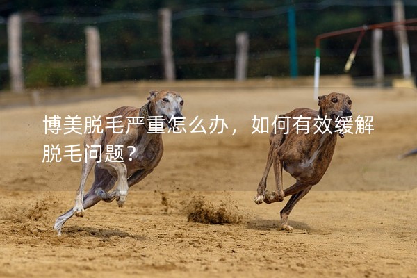 博美脫毛嚴重怎么辦,如何有效緩解脫毛問題? 博美脫毛嚴重怎么辦,如何有效緩解脫毛問題?