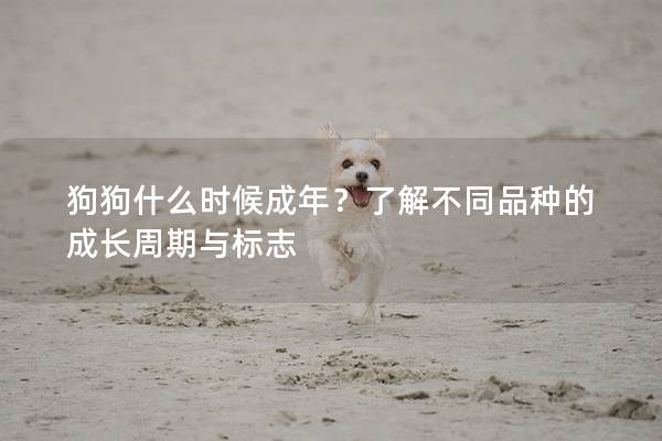 狗狗什么時候成年？了解不同品種的成長周期與標志