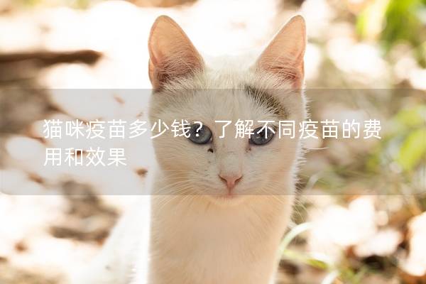 貓咪疫苗多少錢？了解不同疫苗的費用和效果