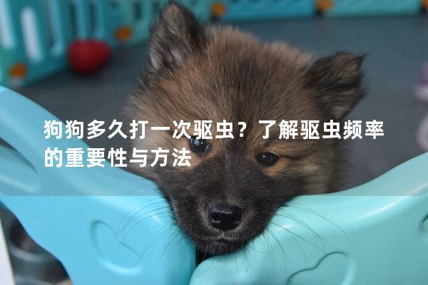 狗狗多久打一次驅蟲?了解驅蟲頻率的重要性與方法 狗狗多久打一次驅蟲?了解驅蟲頻率的重要性與方法