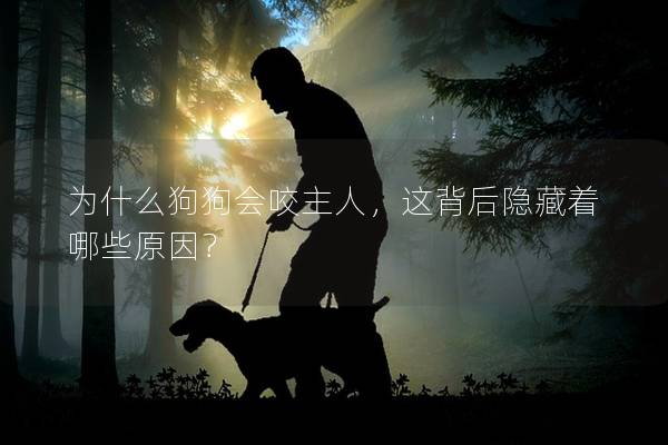 為什么狗狗會咬主人，這背后隱藏著哪些原因？