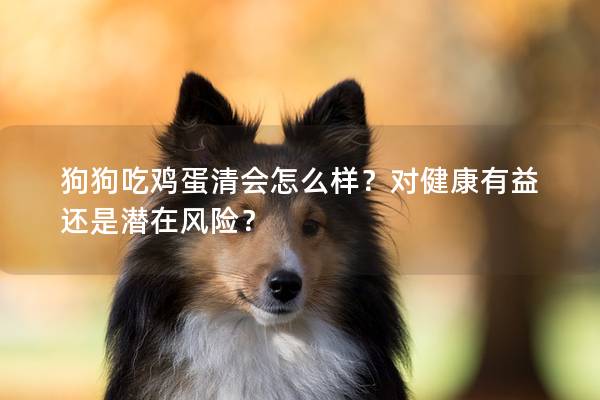 狗狗吃雞蛋清會怎么樣？對健康有益還是潛在風險？