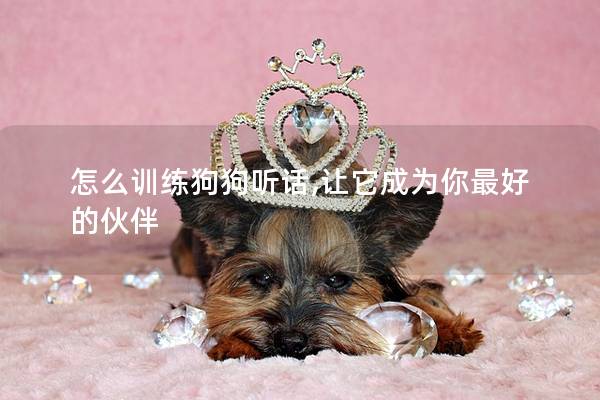 怎么訓練狗狗聽話,讓它成為你最好的伙伴