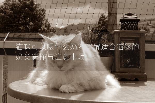 貓咪可以喝什么奶？了解適合貓咪的奶類選擇與注意事項