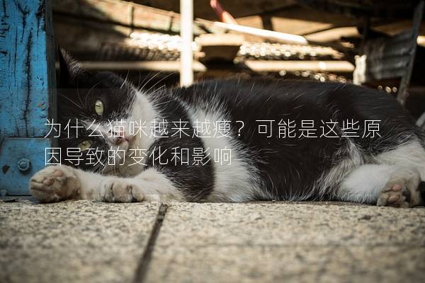 為什么貓咪越來越瘦？可能是這些原因?qū)е碌淖兓陀绊?></em><p>為什么貓咪越來越瘦？可能是這些原因?qū)е碌淖兓陀绊?/p><span>2024-11-29</span></a></li><li><a title=