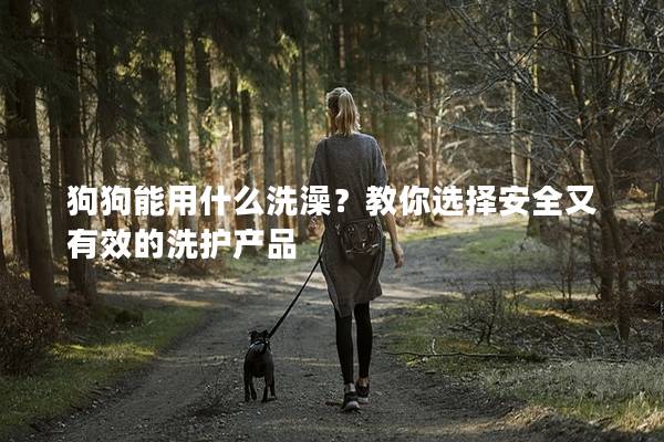 狗狗能用什么洗澡？教你選擇安全又有效的洗護產品