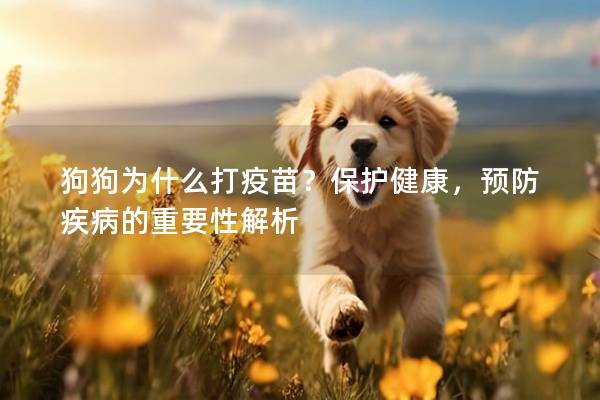 狗狗為什么打疫苗？保護(hù)健康，預(yù)防疾病的重要性解析