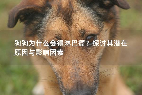 狗狗為什么會得淋巴瘤？探討其潛在原因與影響因素