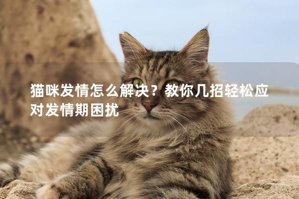 貓咪發情怎么解決？教你幾招輕松應對發情期困擾