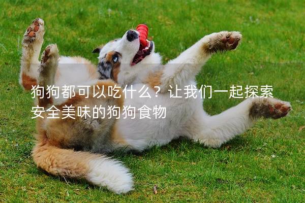 狗狗都可以吃什么？讓我們一起探索安全美味的狗狗食物