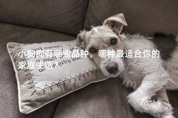 小狗狗有哪些品種，哪種最適合你的家庭生活？