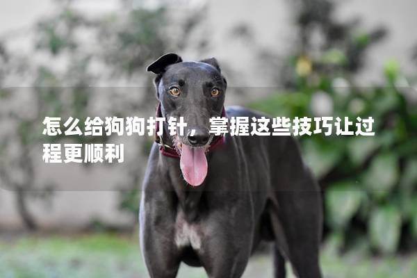 怎么給狗狗打針，掌握這些技巧讓過程更順利