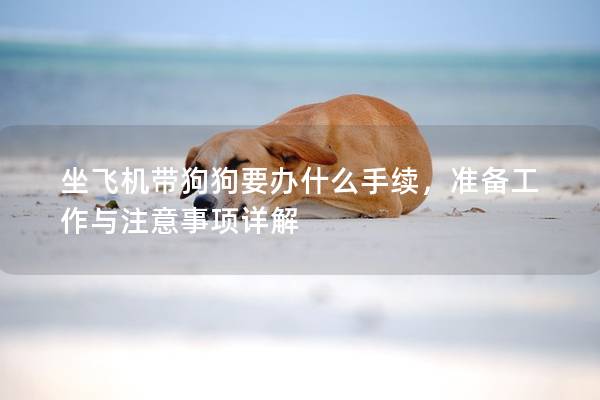 坐飛機(jī)帶狗狗要辦什么手續(xù)，準(zhǔn)備工作與注意事項(xiàng)詳解