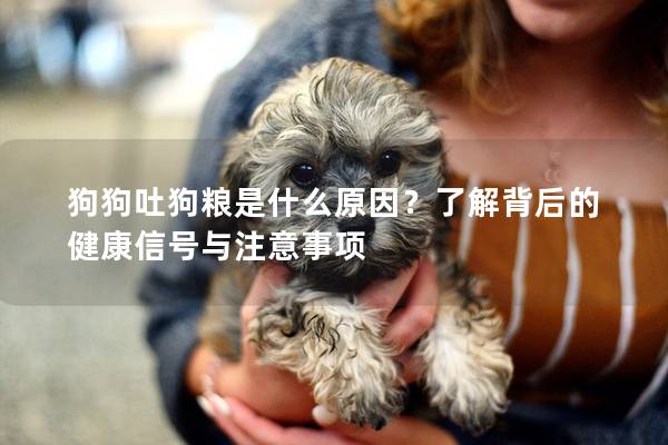 狗狗吐狗糧是什么原因？了解背后的健康信號與注意事項