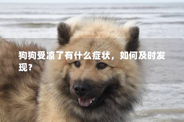 狗狗受涼了有什么癥狀,如何及時發現? 狗狗受涼了有什么癥狀,如何及時發現?