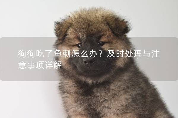 狗狗吃了魚刺怎么辦?及時處理與注意事項詳解 狗狗吃了魚刺怎么辦?及時處理與注意事項詳解