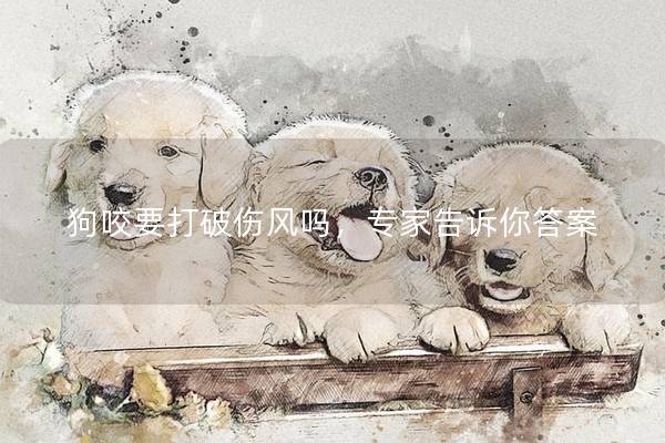 狗咬要打破傷風嗎，專家告訴你答案