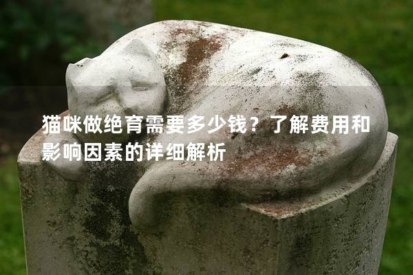 貓咪做絕育需要多少錢？了解費用和影響因素的詳細解析