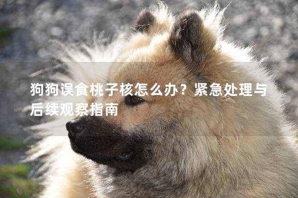 狗狗誤食桃子核怎么辦？緊急處理與后續(xù)觀察指南