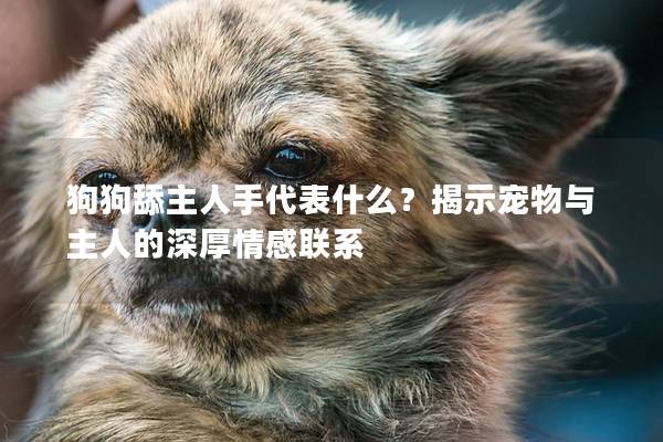 狗狗舔主人手代表什么？揭示寵物與主人的深厚情感聯(lián)系