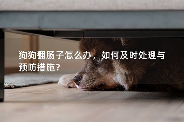 狗狗翻腸子怎么辦，如何及時處理與預防措施？