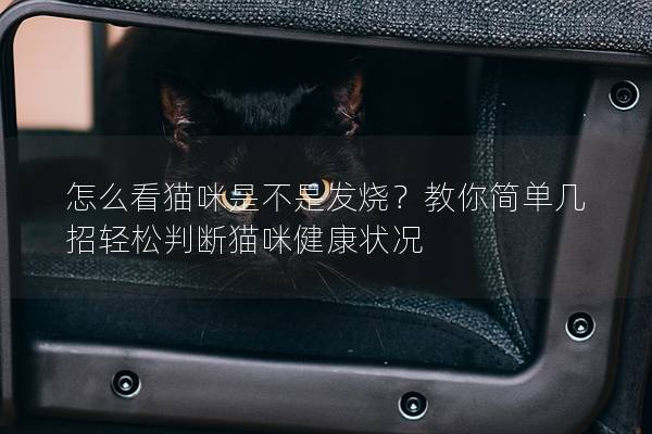 怎么看貓咪是不是發燒？教你簡單幾招輕松判斷貓咪健康狀況