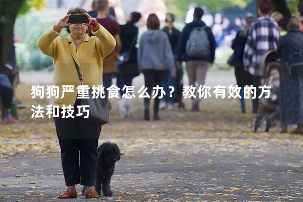 狗狗嚴重挑食怎么辦?教你有效的方法和技巧 狗狗嚴重挑食怎么辦?教你有效的方法和技巧