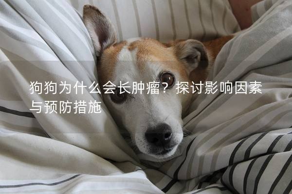狗狗為什么會長腫瘤？探討影響因素與預防措施