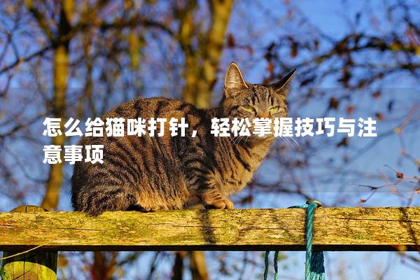 怎么給貓咪打針，輕松掌握技巧與注意事項