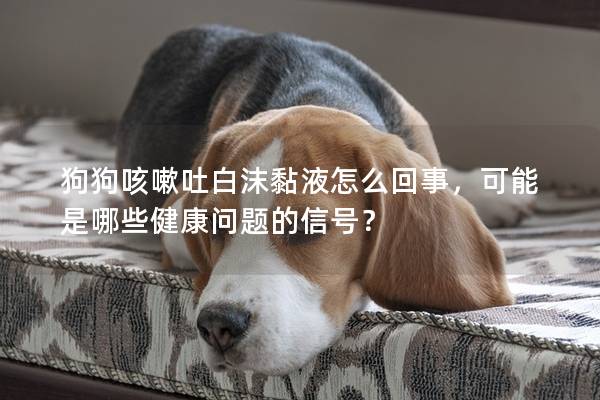 狗狗咳嗽吐白沫黏液怎么回事，可能是哪些健康問題的信號？