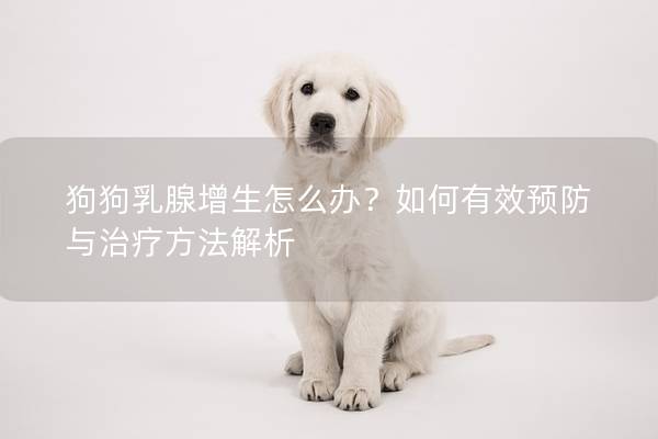 狗狗乳腺增生怎么辦？如何有效預防與治療方法解析