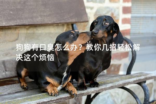 狗狗有口臭怎么辦？教你幾招輕松解決這個煩惱