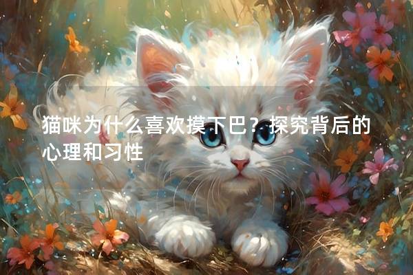 貓咪為什么喜歡摸下巴？探究背后的心理和習性