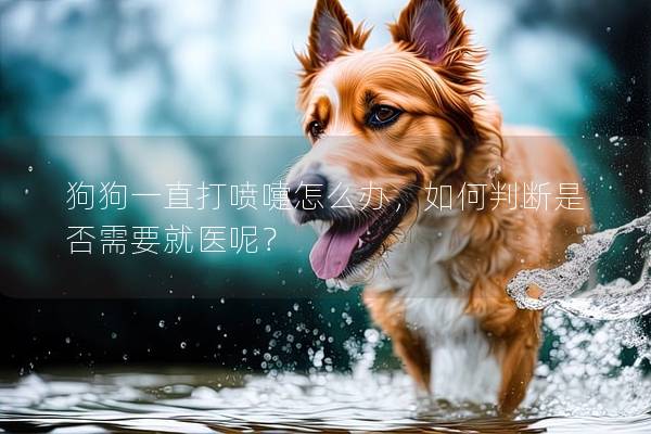 狗狗一直打噴嚏怎么辦，如何判斷是否需要就醫呢？