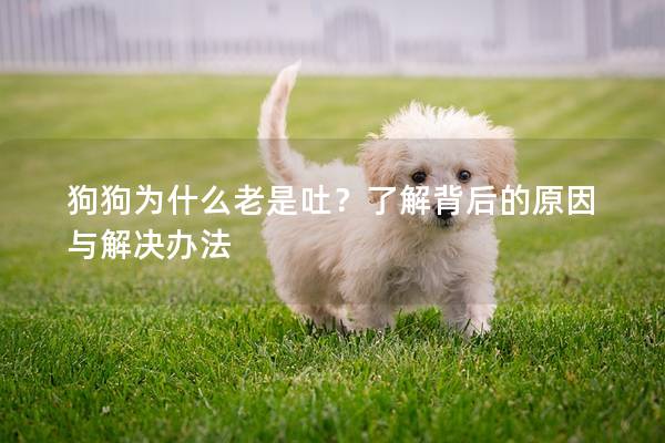 狗狗為什么老是吐？了解背后的原因與解決辦法