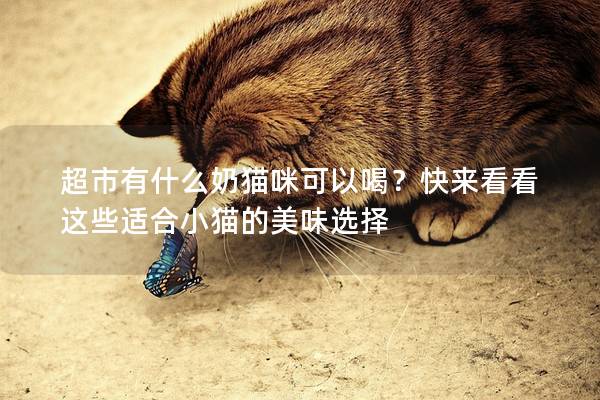 超市有什么奶貓咪可以喝？快來(lái)看看這些適合小貓的美味選擇