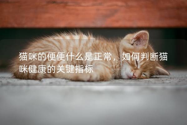 貓咪的便便什么是正常，如何判斷貓咪健康的關鍵指標