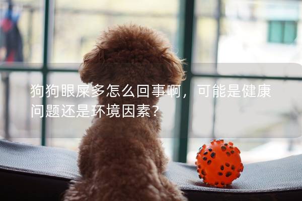 狗狗眼屎多怎么回事啊，可能是健康問題還是環境因素？